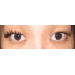 Fashion Lashes - 50 Pairs False Eyelash Mixes Style