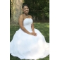 Ball Gown Strapless Cathedral Train Chiffon Over Satin Wedding Dress 