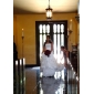A-line/ Princess Sweetheart Court Train Taffeta Pick-up Wedding Dress