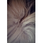 Cosplay Wig Inspired by Naruto Hatake Kakashi 