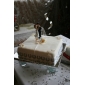 A Sweet Western Embrace Cake Topper