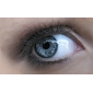 Naturel 88 Colors Eye Shadow Palette