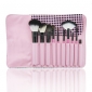 Color Shine-hoge kwaliteit wol borstel set (10st)