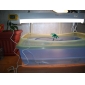 LCD digital de los peces de acuario tanque de agua sensor termómetro (ceg8107)