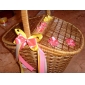 3/4-Inch Satin Ribbon