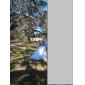A-line Tulle Wedding Dress With Straps And Sweep/Brush Train 