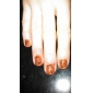 221 Designs Nail Art Stamp Image Plate/Big Nail Art Templates/Nail Stencils