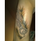 shader e tattoo kit con rivestimento in alluminio per il trasporto (limitata offerta speciale)