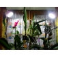E27 13W 65x5050SMD 900-1000LM 6000-6500K Natural White Light LED Spot Bulb (220V)