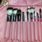 Color Shine-High Quality Wool Brush Set(10pcs)