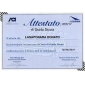 longo Europeia tecer luz peruca loira (0463-6.10-343)