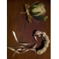 satin / bomuld free-form mænds boutonniere