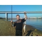 Metal Baits Lure Packs (14 Pcs)