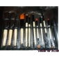 Color Shine-High Quality Wool Brush Set(12pcs)