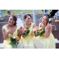 A-line V-neck Knee-length Chiffon and Stretch Satin Bridesmaid Dress
