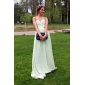 Chiffon A-line Floor-length Evening Dress 