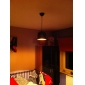 Artistic Aluminum  Pendant Light in Black Shade