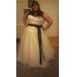 Ball Gown Sweetheart Tulle Chapel Train Wedding Dress inspired by Kate Huds in Bride Wars