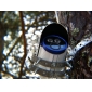 Standard Definition Network Camera Support Mobile Monitor(with Sony CCD 420TVLine)