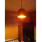 Artistic Aluminum  Pendant Light in Black Shade