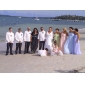 Sheath/ Column Sweep/ Brush Train Chiffon Lace Wedding Dress