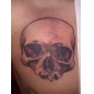 Blue and White Porcelain Coil Tatoo Machine Gun for Lining and Shading