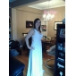 Sheath/Column One Shoulder Floor-length Chiffon Evening Dress
