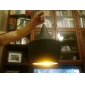 Artistic Pendant Light in Black Shade