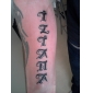 2 guns tatoveringen kit med dobbel utgang lcd makt og 54 fargeblekk