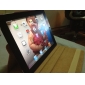 Case de Protecção de Pele PU  e Suporte para iPad 2 (cores sortidas)