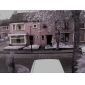 wanscam - draadloze ip bewakingscamera met hoek van controle (bewegingsdetectie, nachtzicht, gratis DDNS)