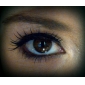 Fashion Lashes - 30 Pairs Long, Dramatic Blunt Cut False Eyelashes FX