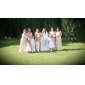 Empire Halter Floor-length Chiffon Bridesmaid Dress 