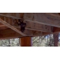 Wanscam - Wireless IP Surveillance Camera with Angle Control (Motion Detection, Night Vision, Free DDNS)