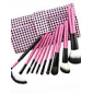 Color Shine-hoge kwaliteit wol borstel set (10st)