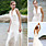 wholesale 200910/vbpy1256625338194.jpg