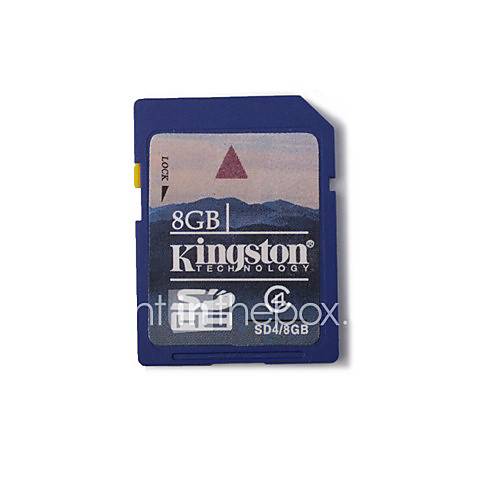 8GB Kingston SDHC Speicherkarte