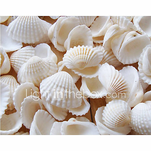 Beach Themed Seashell Wedding Shower Table Decorations Pack 