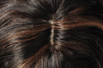Capless Medium Curly Black 100% Human Hair Wig Full Bang