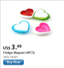 Fridge Magnet (4PCS)