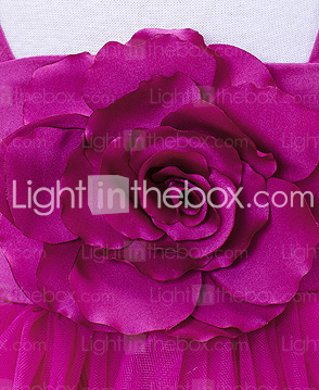 Fabulous Ball Gown Tull Over Satin Flower Girl Dress