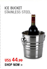 Ice Bucket 