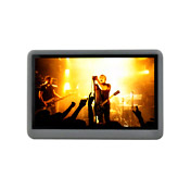 MP3 and Media Player