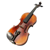 Violini