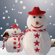 Winter Favors
