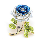 Pins and Brooches