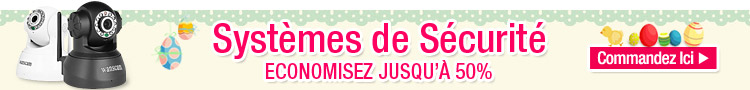 Systèmes de Sécurité