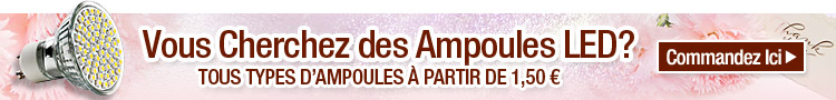 Vous Cherchez des Ampoules LED?