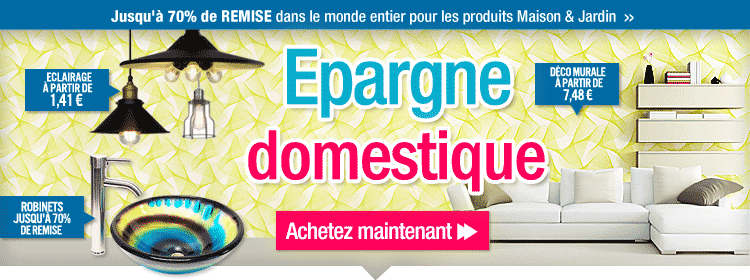 Epargne domestique