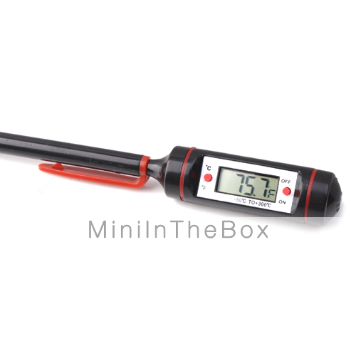 Digital Kitchen Thermometer